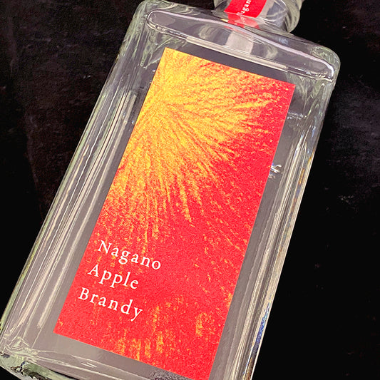 NAGANO Apple Brandy りんごブランデー 300ml 箱無